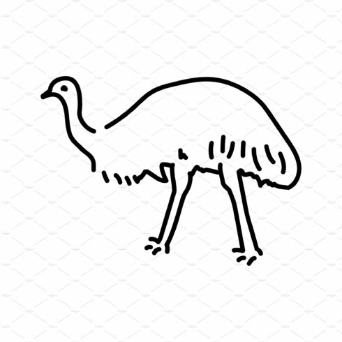 Australian ostrich Emu color line cover image.