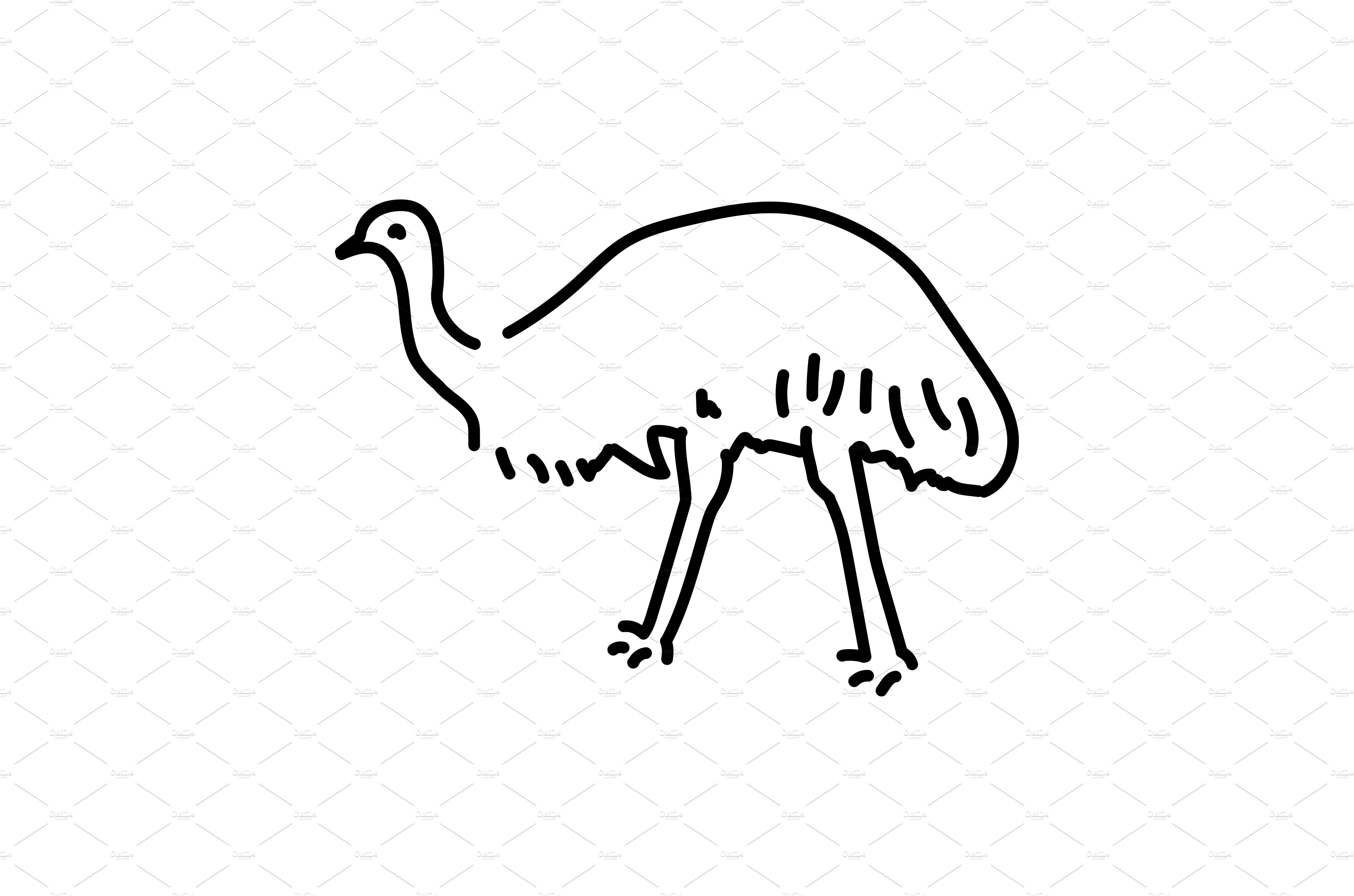 Australian ostrich Emu color line cover image.