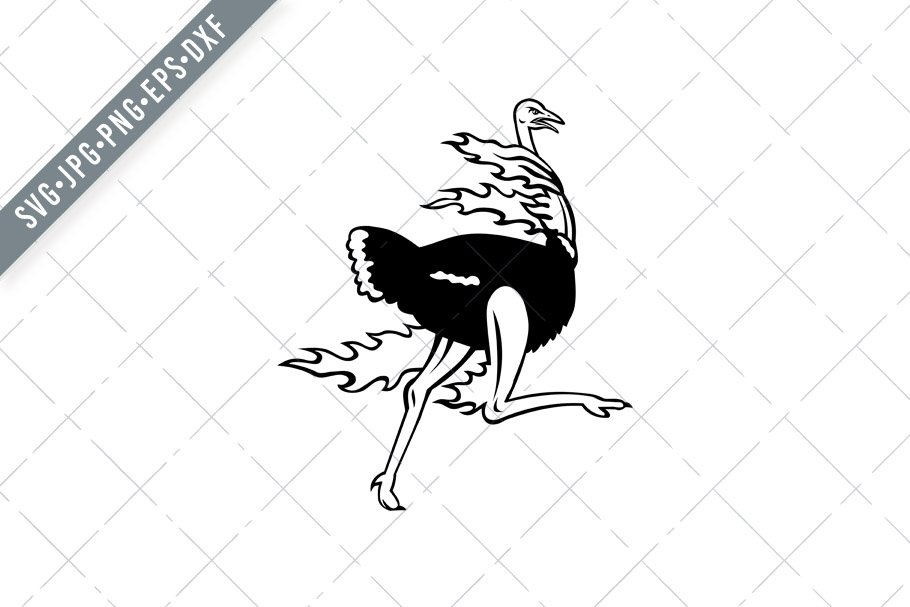 Common Ostrich Running on Fire SVG cover image.
