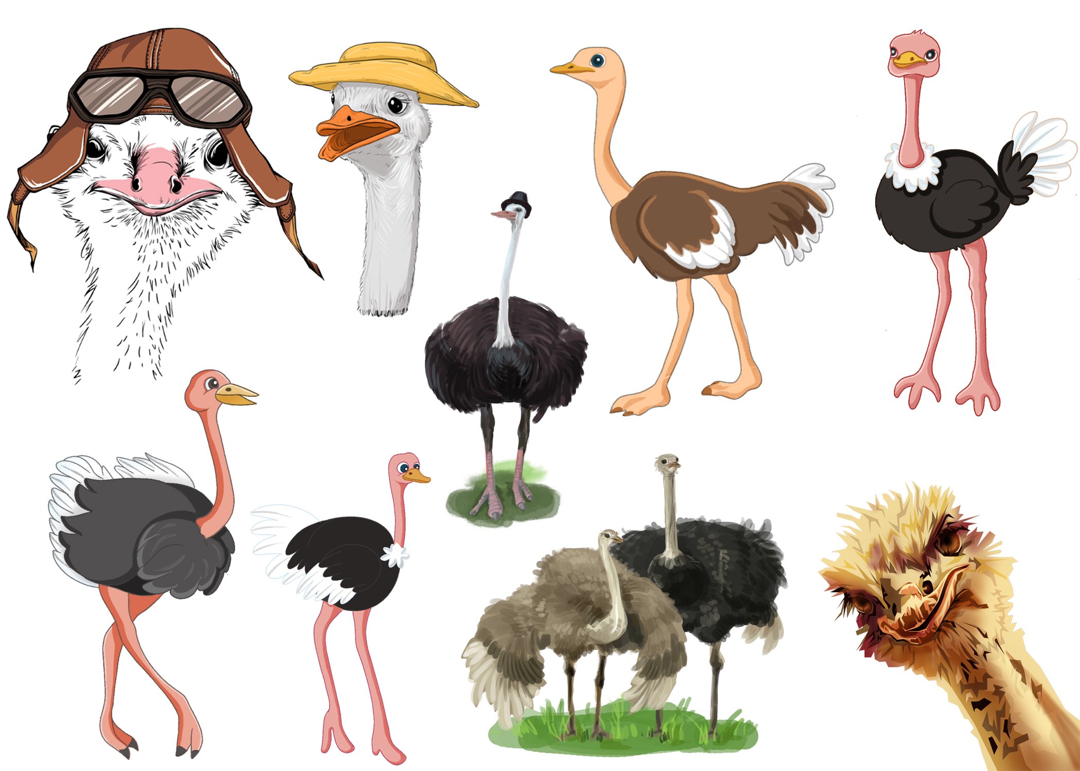 Watercolor Ostrich clipart vector cover image.
