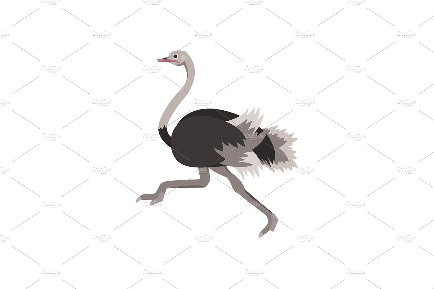 ostrich set 03 similar cm 113