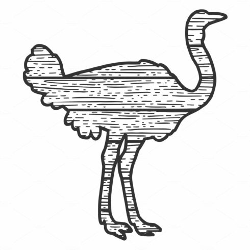 wooden ostrich bird silhouette cover image.