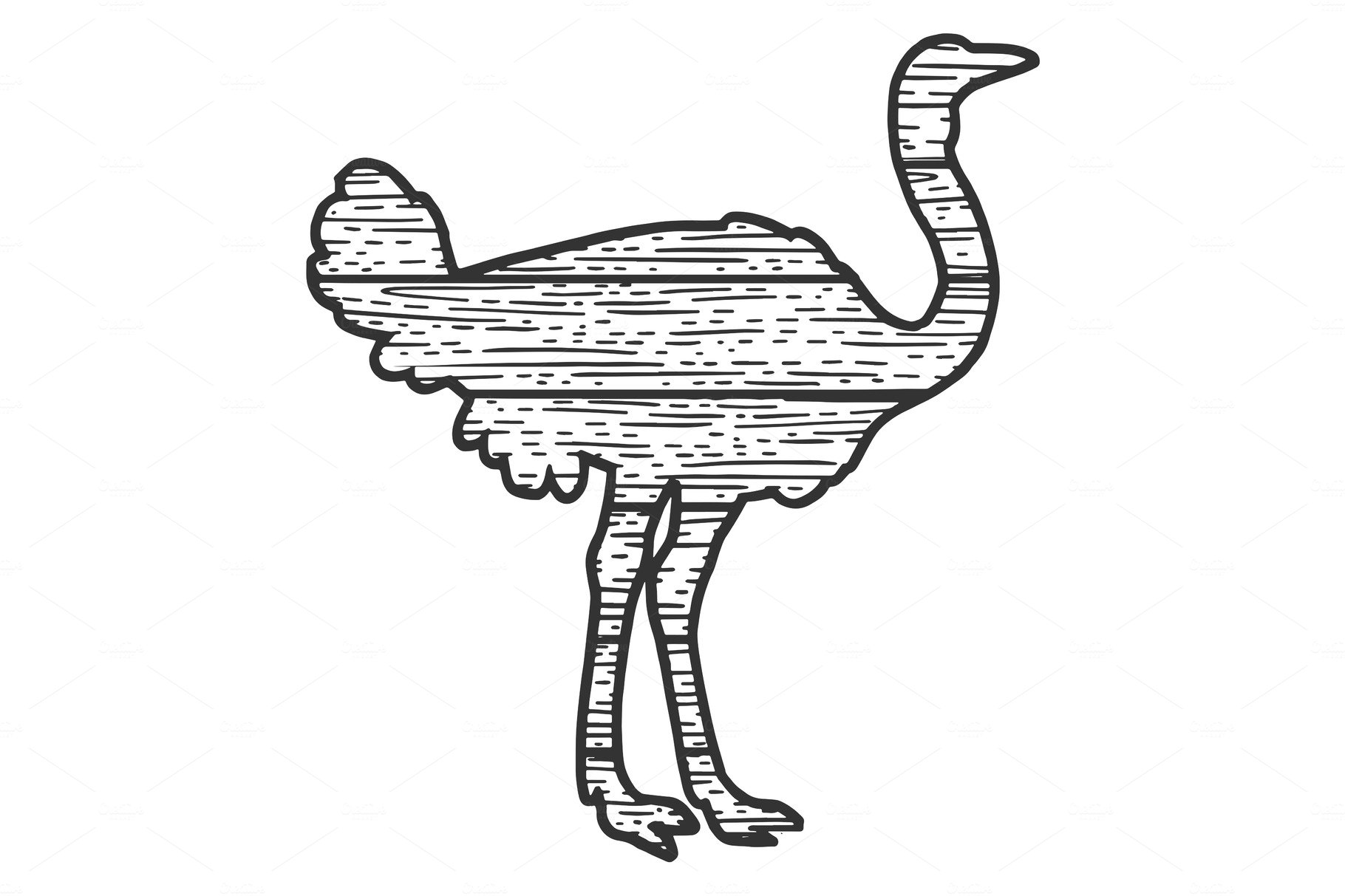 wooden ostrich bird silhouette cover image.