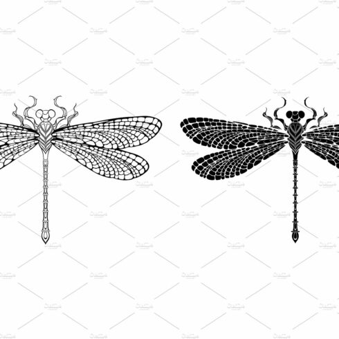 Outline dragonfly cover image.