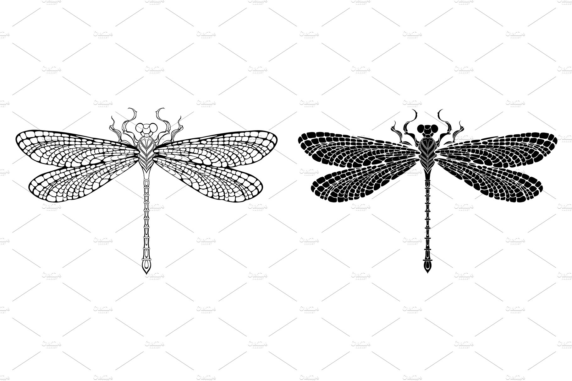 Outline dragonfly cover image.