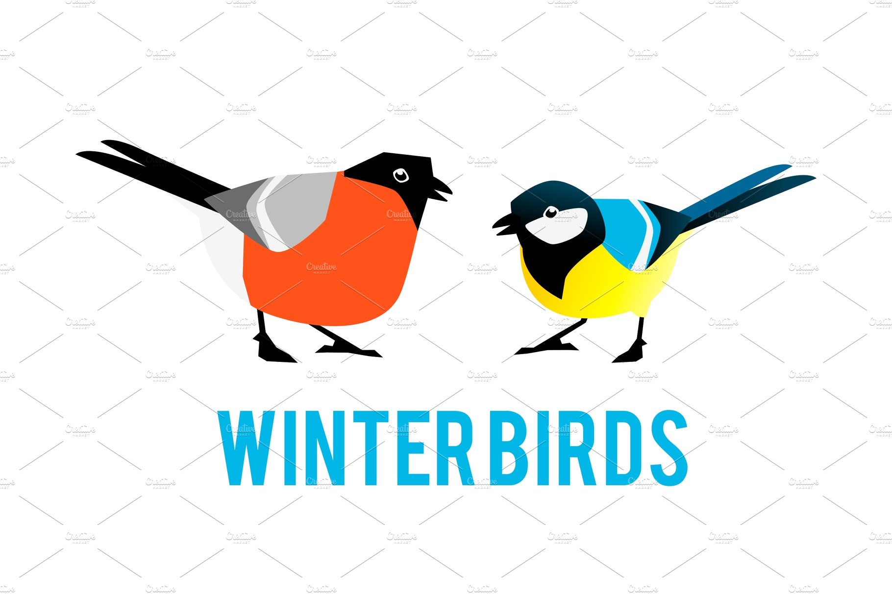 Winter birds are tit and bullfinch. cover image.