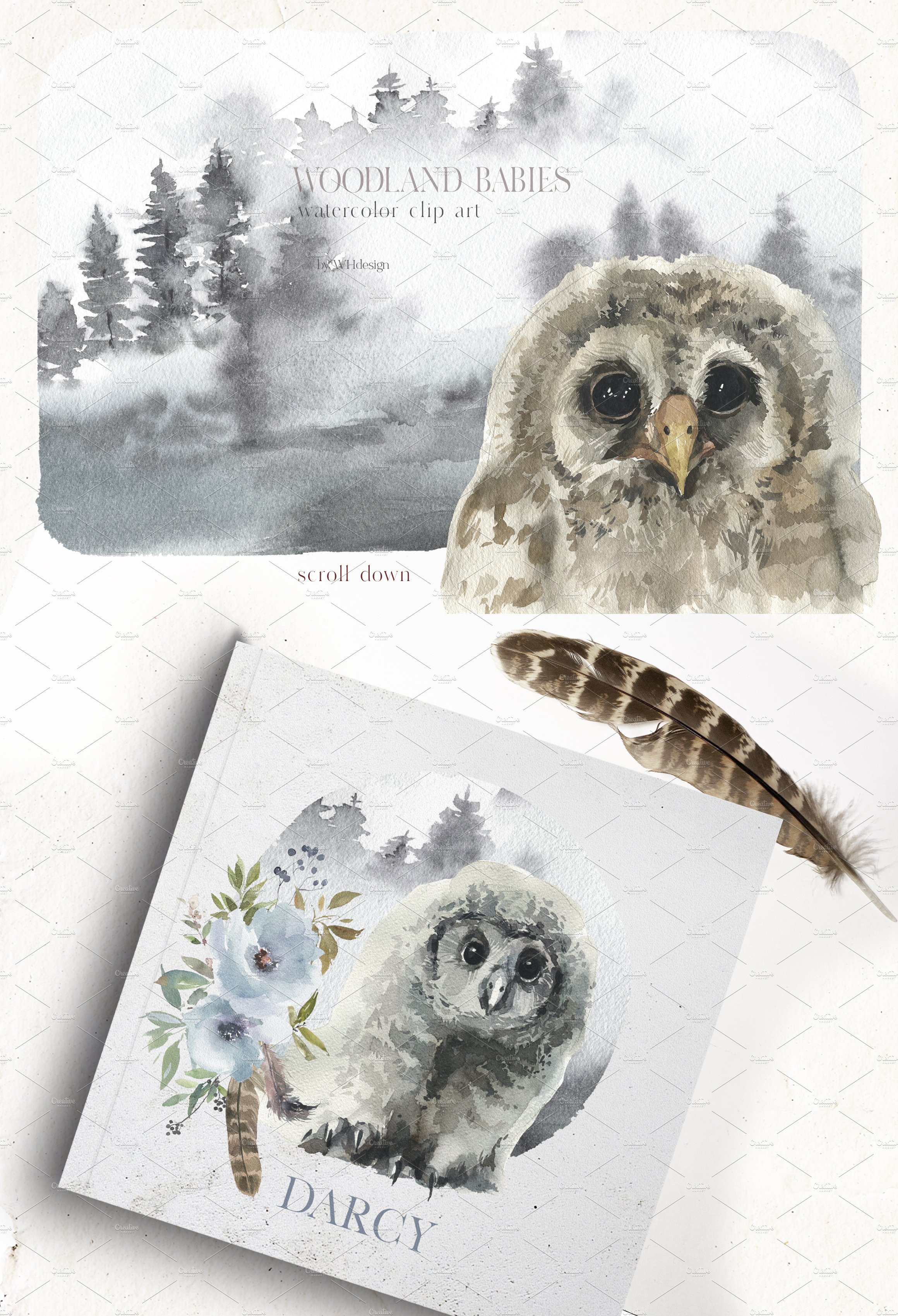owl baby watercolor clipart 1 70