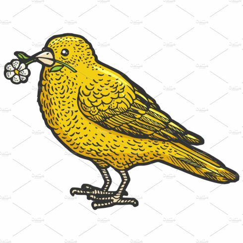 Canary camomile beak sketch vector cover image.