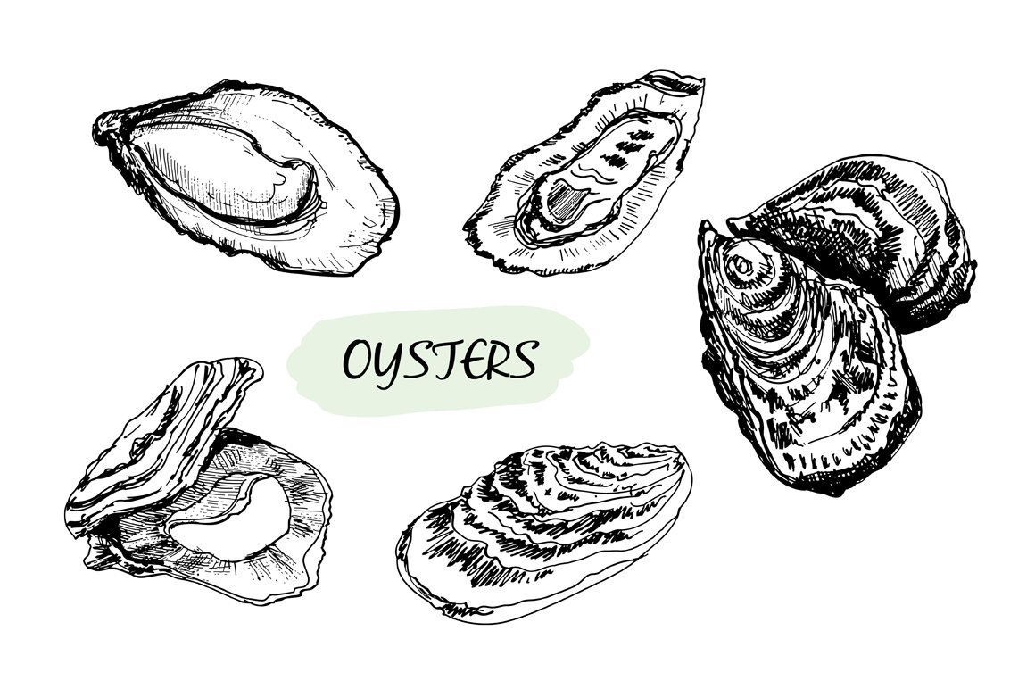 Oysters. Set of vector cover image.