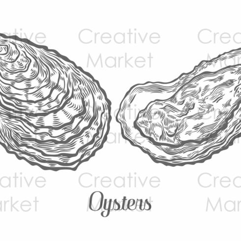 Oysters seafood set hand drawn cover image.