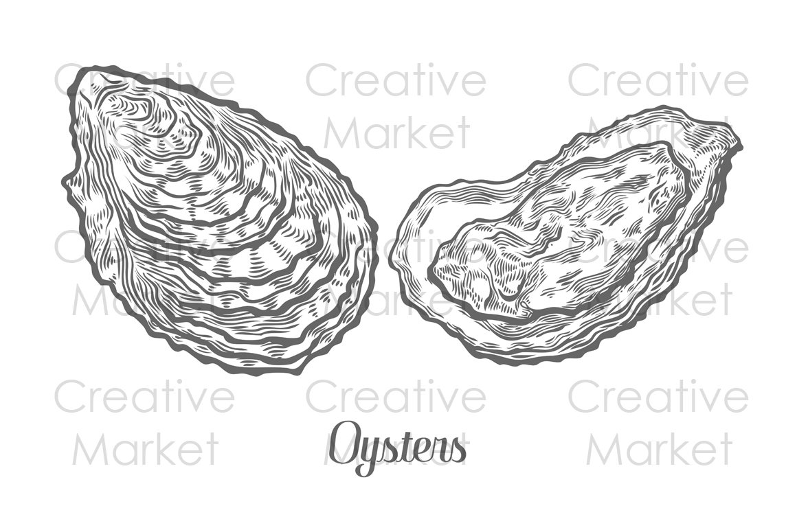 Oysters seafood set hand drawn cover image.