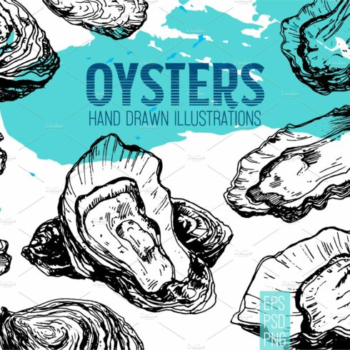 Oysters. Seafood engraving set cover image.