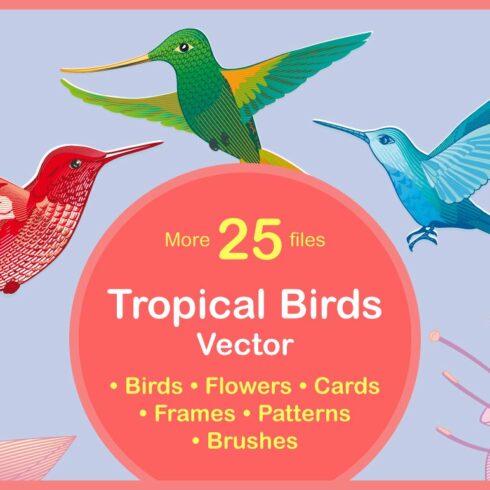 Tropical Birds cover image.