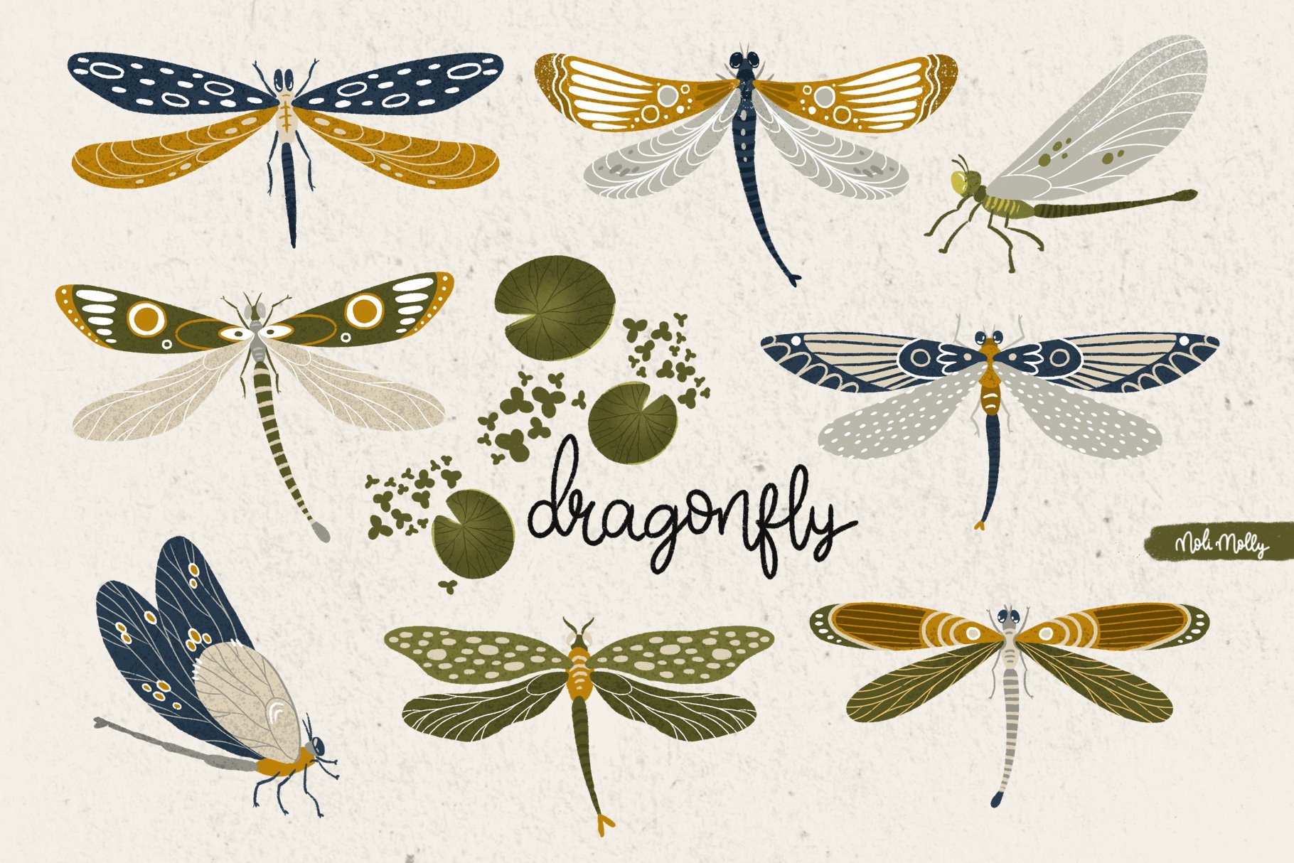 Dragonflies cover image.