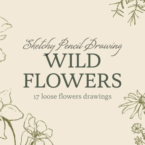 Sketchy Pencil Drawing Wildflowers cover image.
