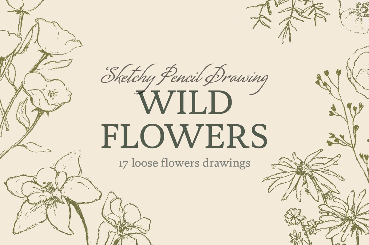 Sketchy Pencil Drawing Wildflowers cover image.
