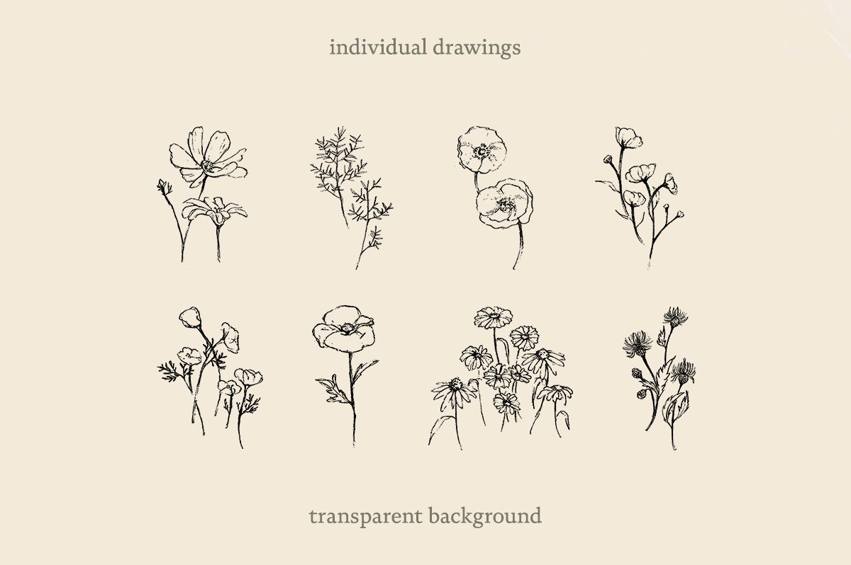 Sketchy Pencil Drawing Wildflowers preview image.