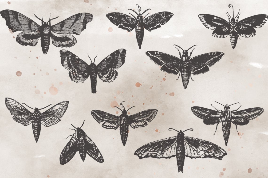 VintageVectorized-Moths Clipart preview image.