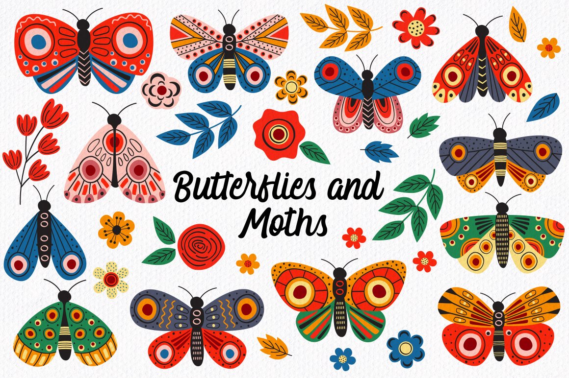 butterflies and moths collection preview image.