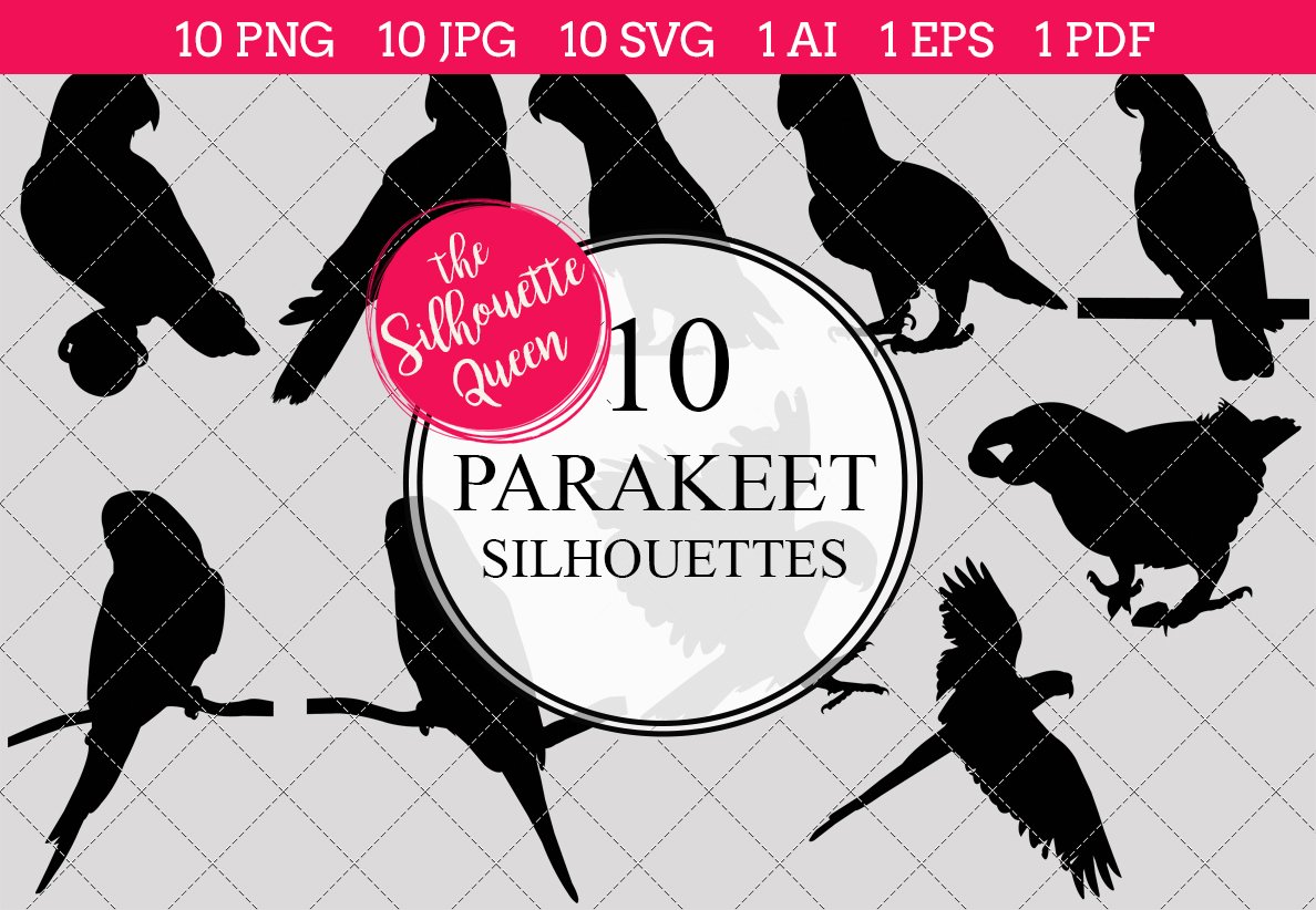 Parakeet Silhouette Vector Graphics cover image.