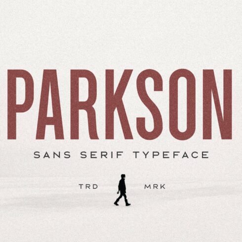 Parkson Sans Serif - 18 Fonts cover image.