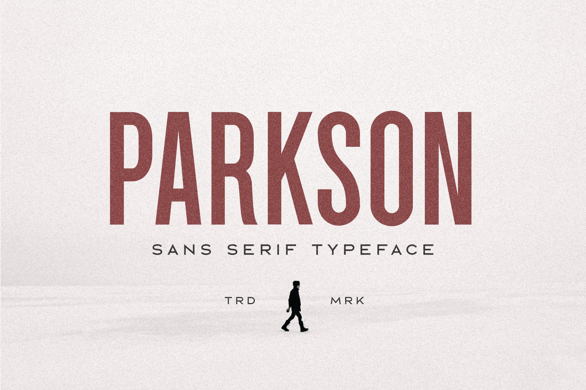 Parkson Sans Serif - 18 Fonts cover image.