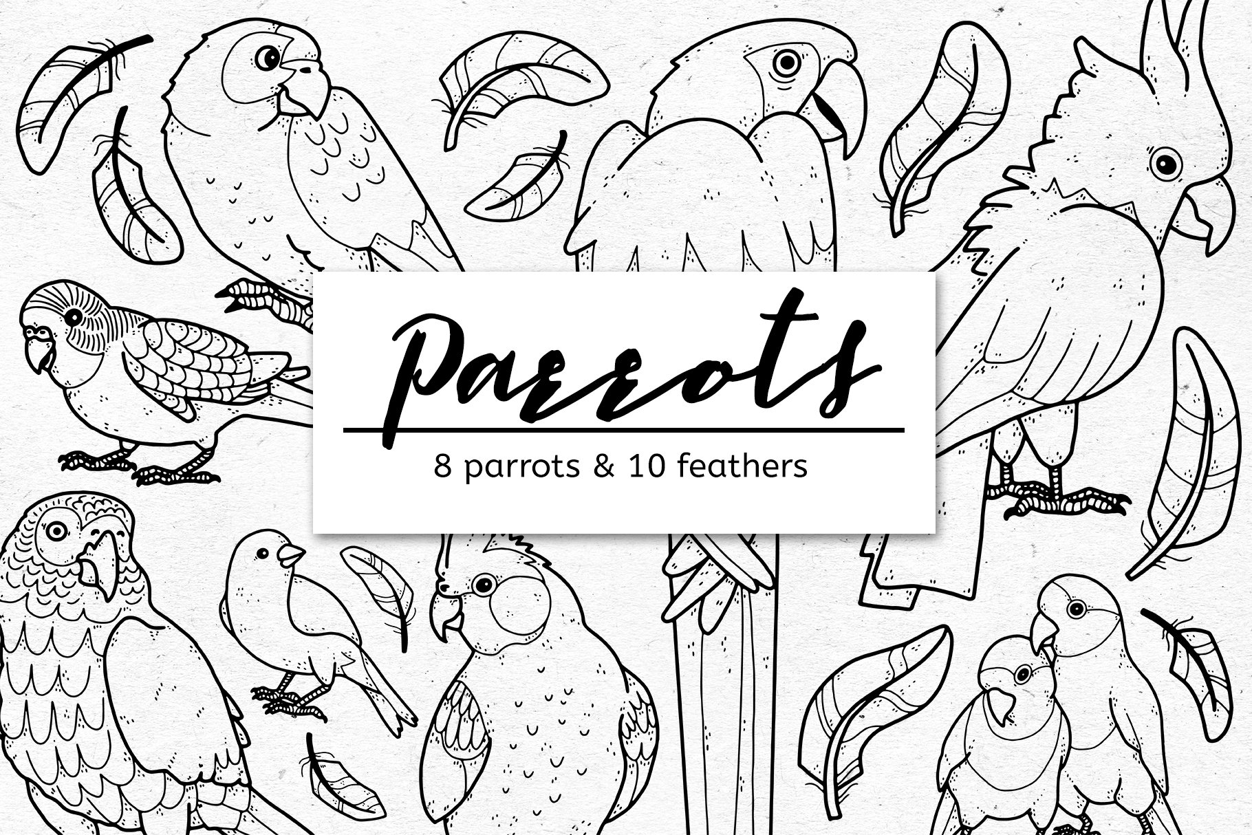 Parrots and Feathers Graphic Bundle cover image.