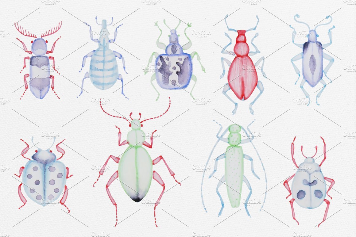 pastel bugs contact 659