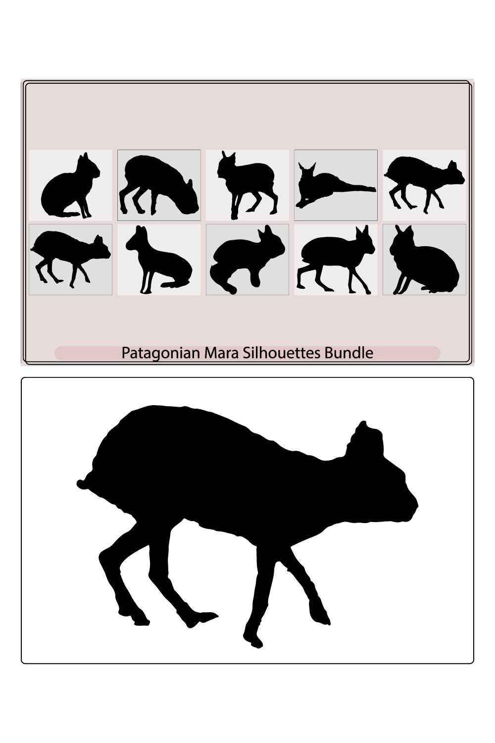 Patagonian mara rabbit,Patagonian mara rabbit,Patagonian mara vector, pinterest preview image.