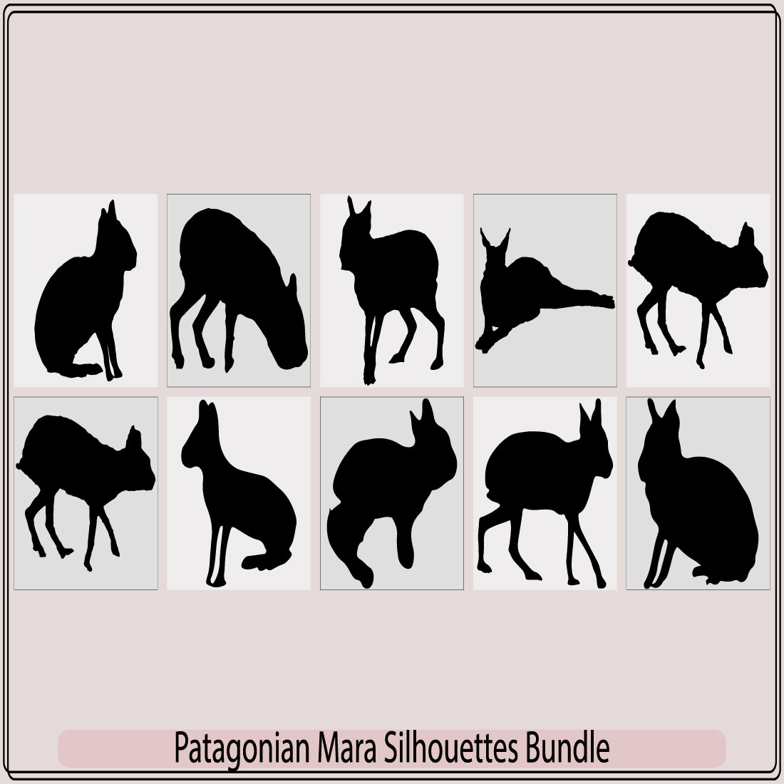 Patagonian mara rabbit,Patagonian mara rabbit,Patagonian mara vector, preview image.