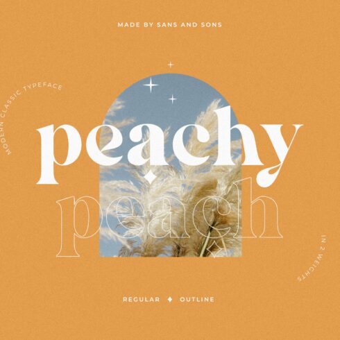 Peach - Modern Chic Serif cover image.