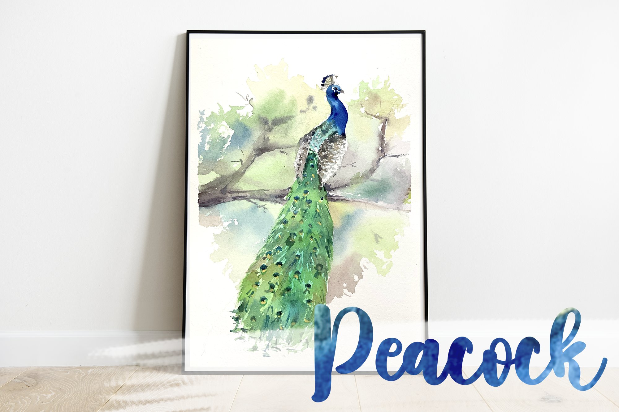 peacock c1 357