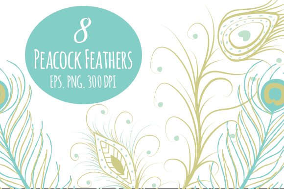 8 Peacock Feathers in EPS and PNG cover image.