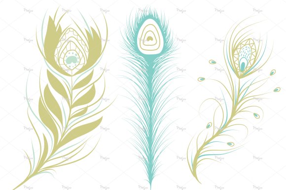 8 Peacock Feathers in EPS and PNG preview image.