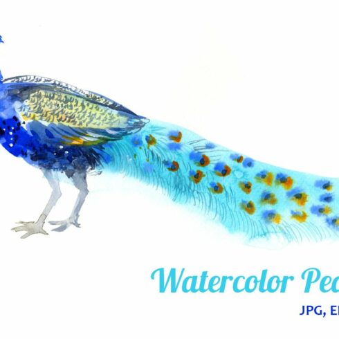 Watercolor Peacock cover image.
