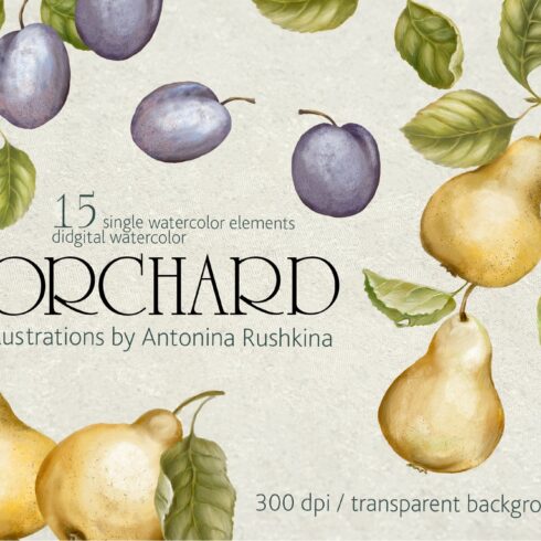 Orchard fruit. Pears and plums cover image.