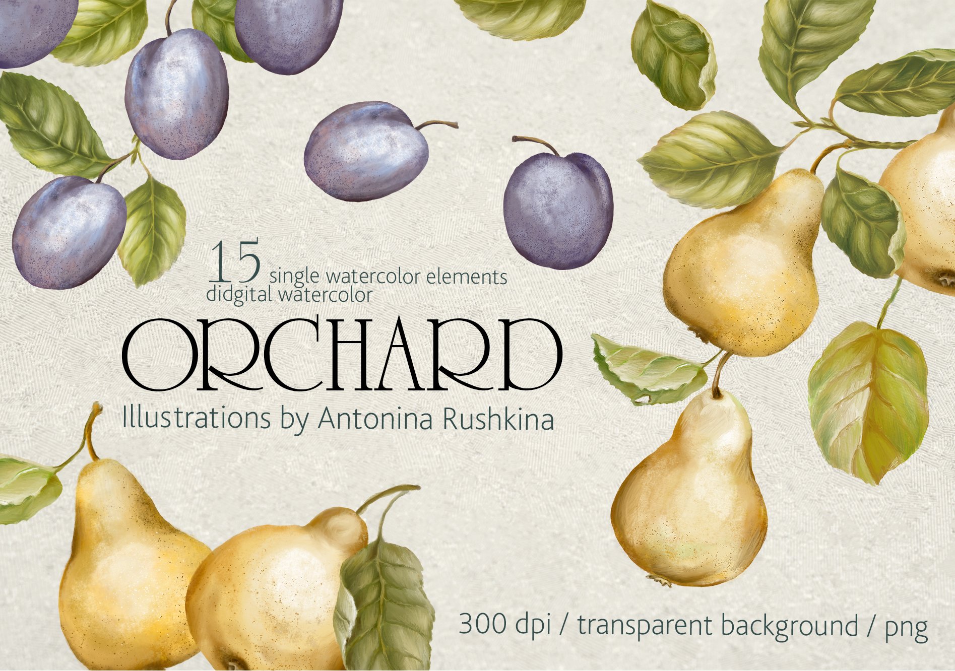 Orchard fruit. Pears and plums cover image.