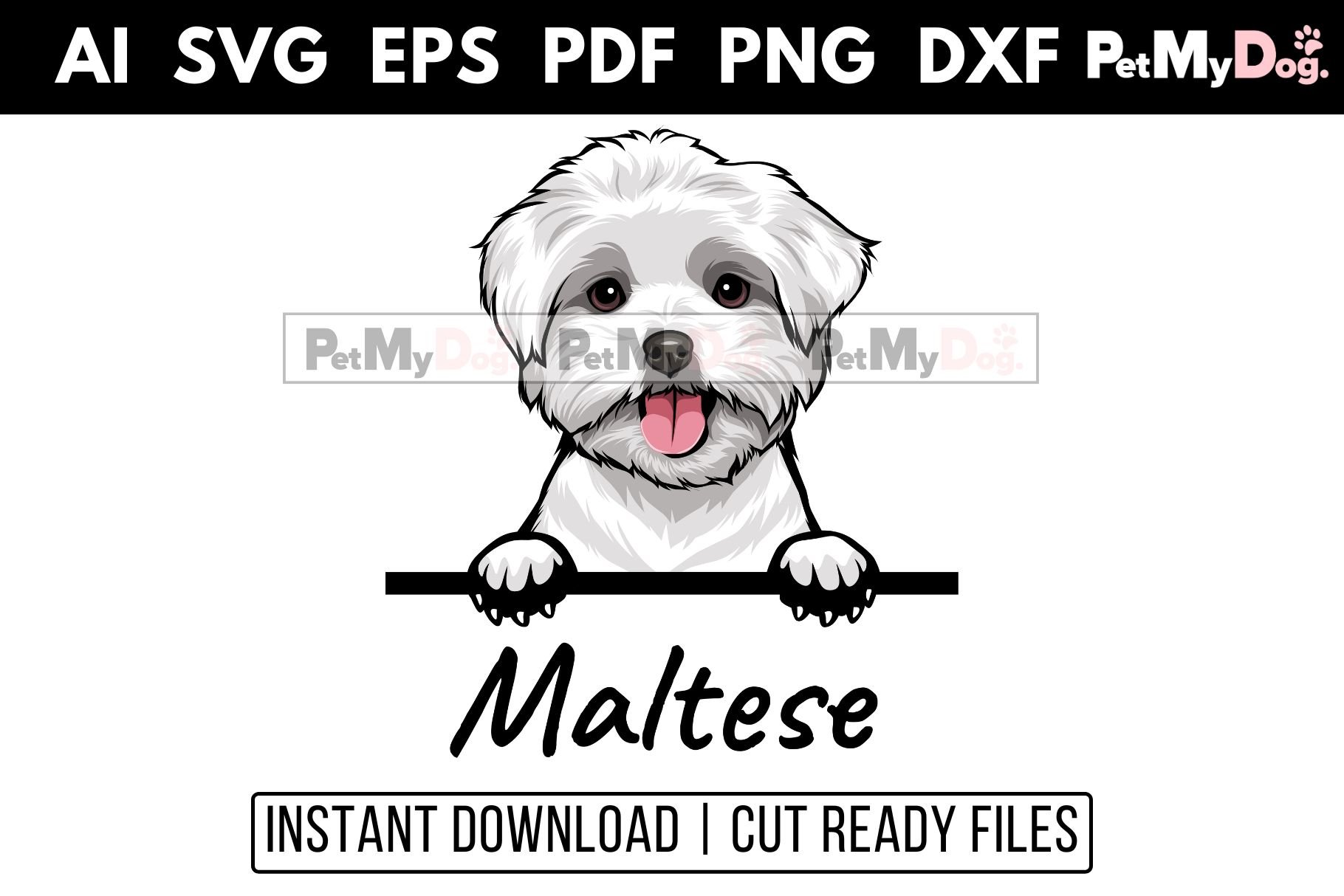 Maltese - Peeking Dog cover image.