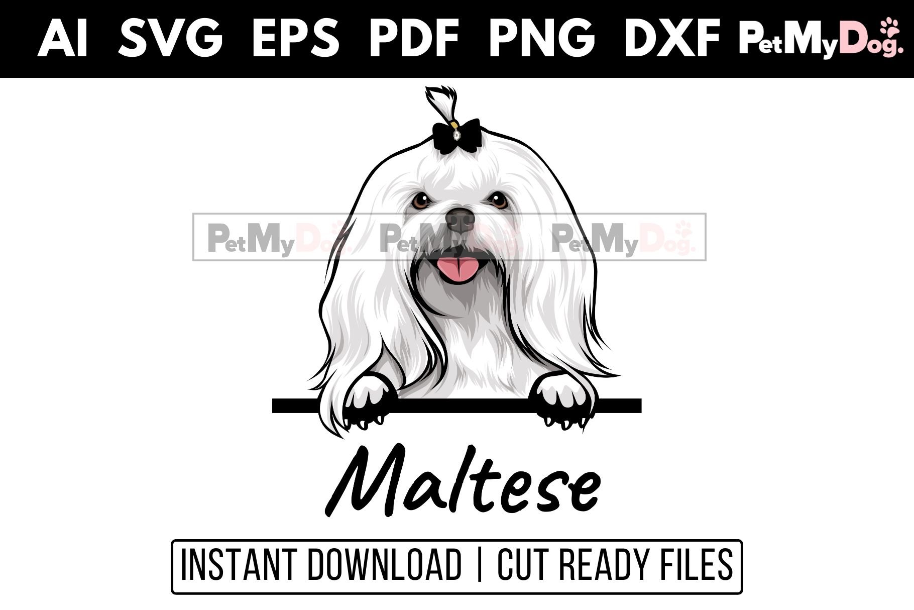 Maltese - Peeking Dog cover image.