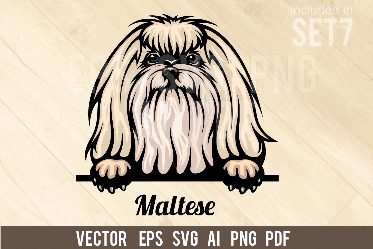 Maltese - Peeking Dog Color SVG cover image.