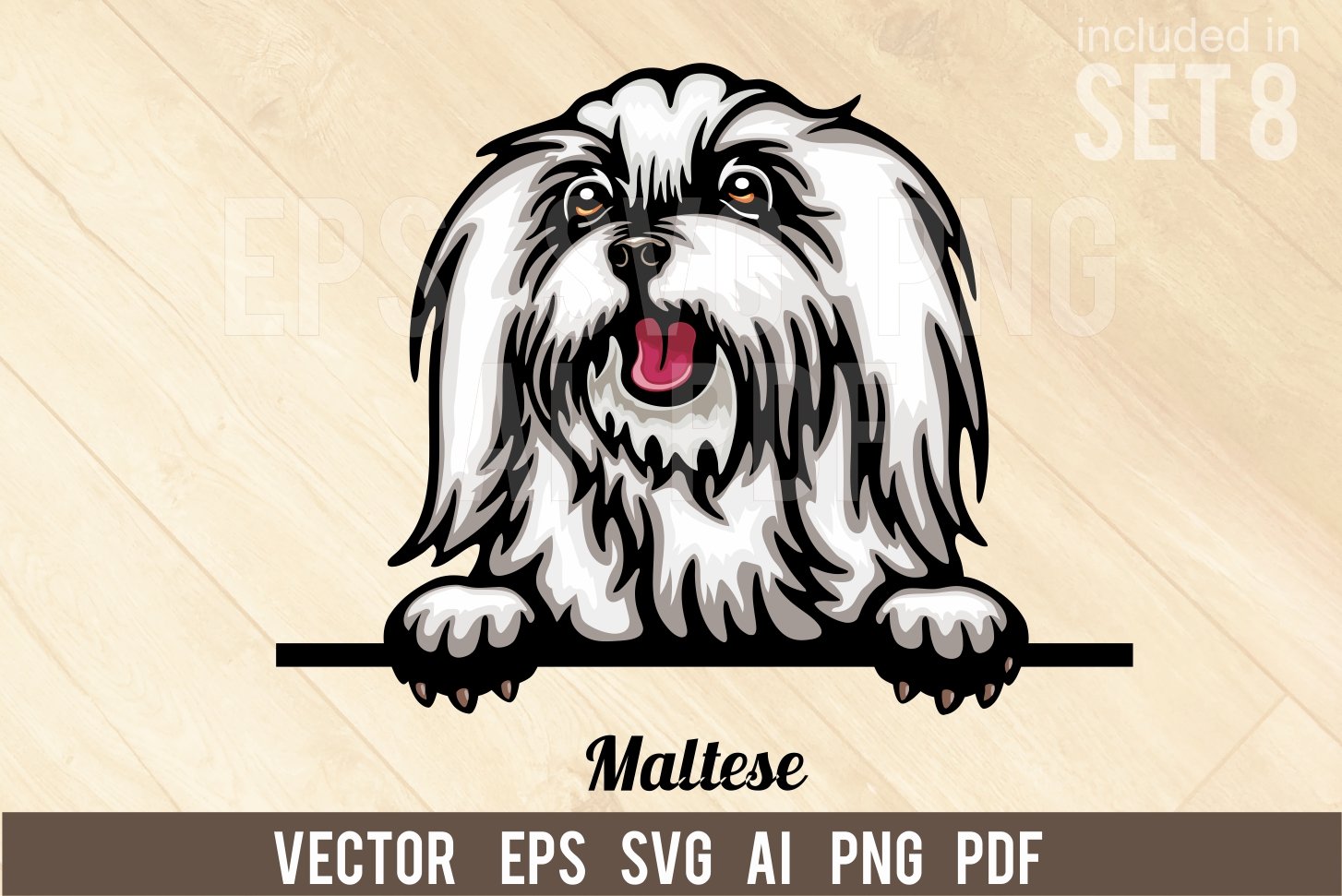 Maltese - Peeking Dog Color SVG cover image.