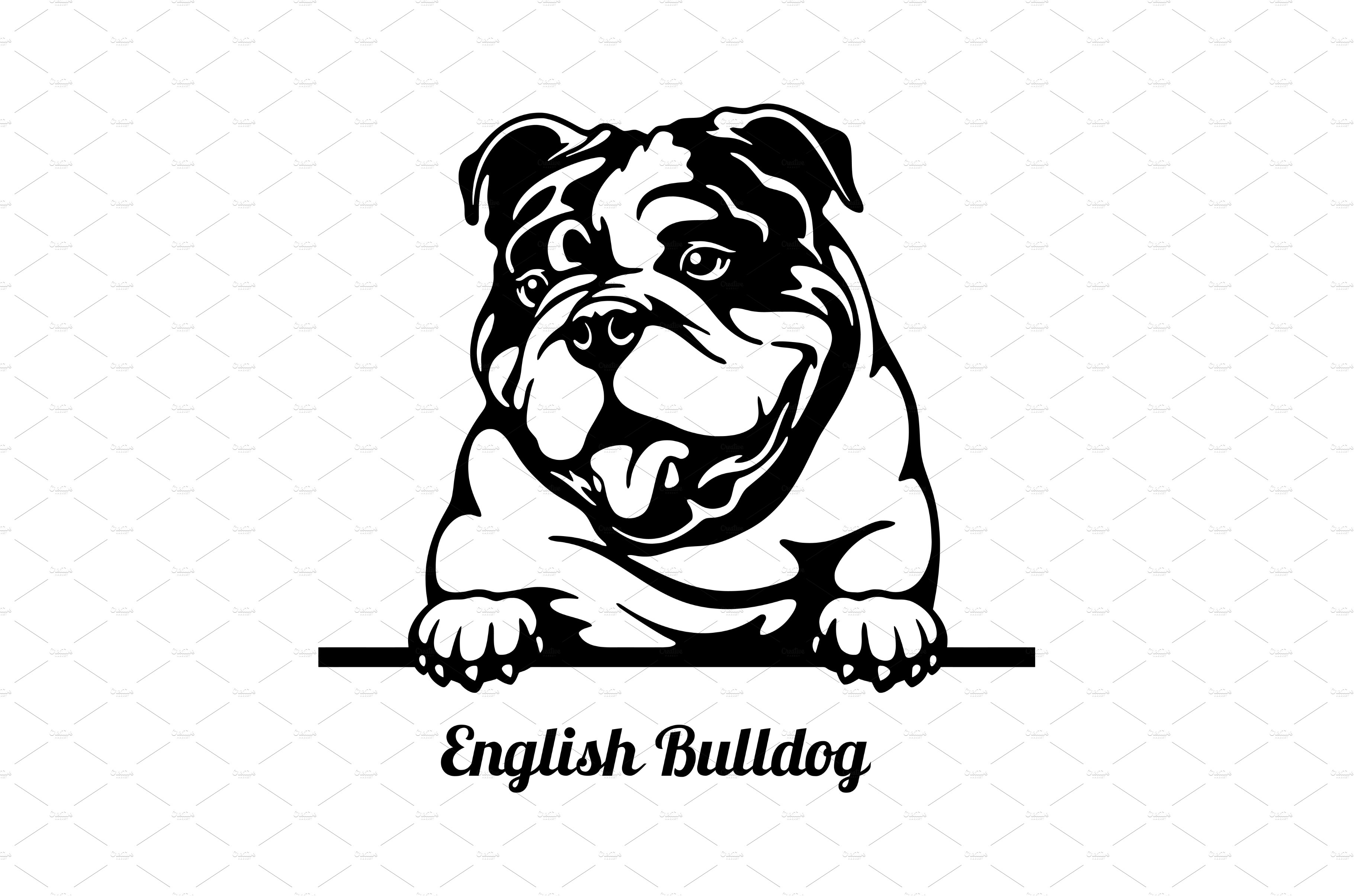 English Bulldog Peeking Dog - head cover image.
