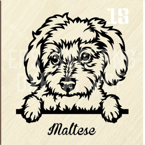 Maltese Peeking Dog Cut SVG Stencil cover image.