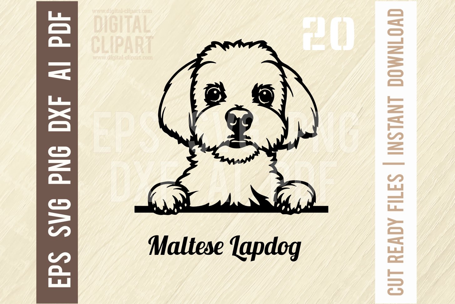 Maltese Lapdog SVG - Peeking Dog cover image.