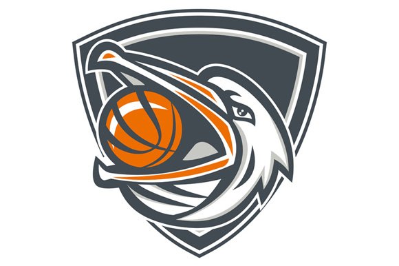 Pelican Basketball In Mouth Shield cover image.