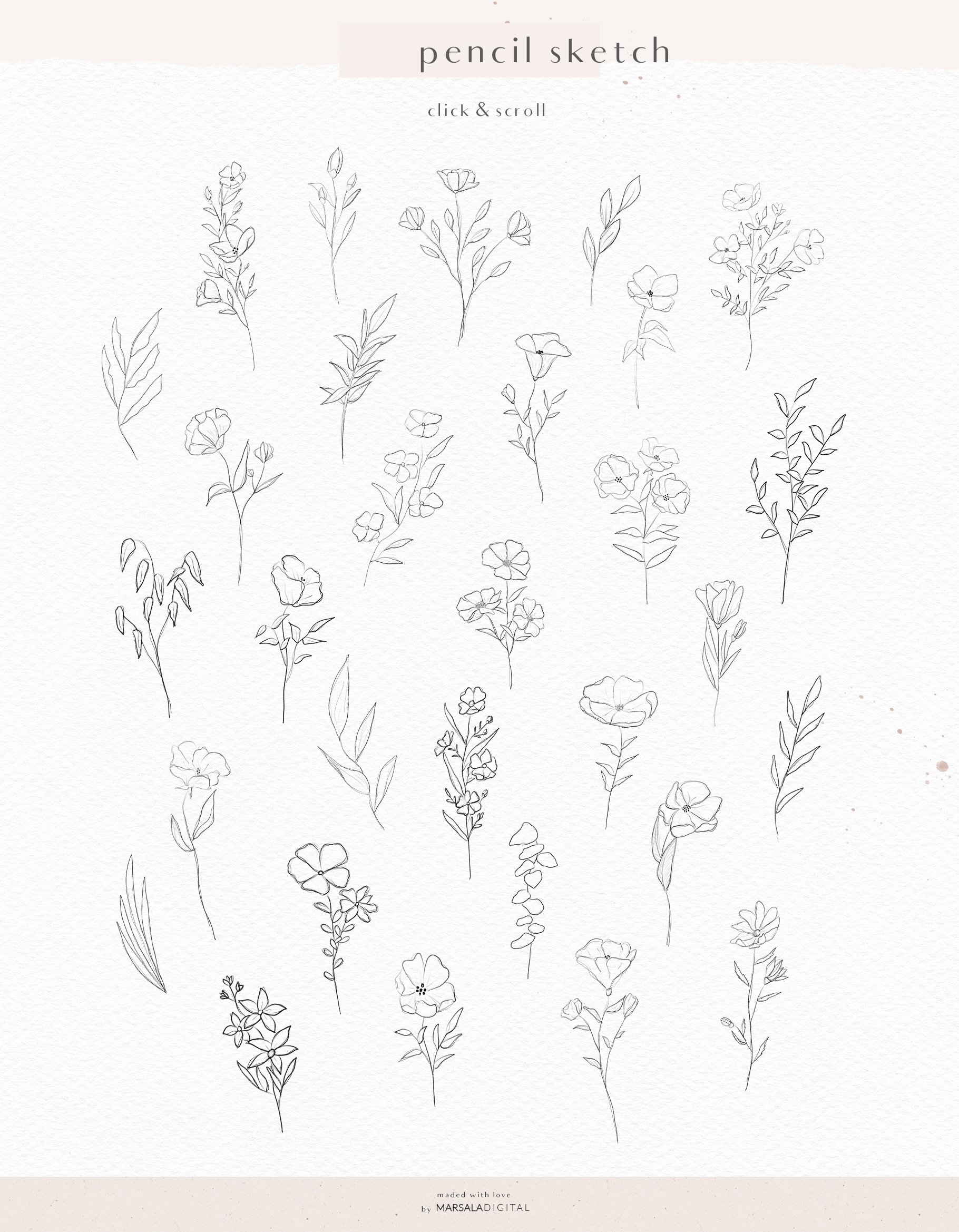 pencil sketch florals 930