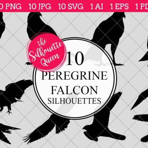 Peregrine falcon Silhouette Vector cover image.