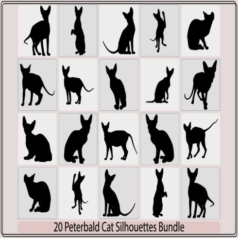 Peterbald Cat, Cat breed face cartoon flat icon design,Peterbald cat SIlhouette ,Peterbald cat silhouette bundle, cover image.