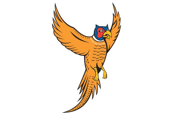 Pheasant Bird Fowl Flying Cartoon cover image.