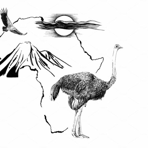 Ostrich on Africa map background wit cover image.